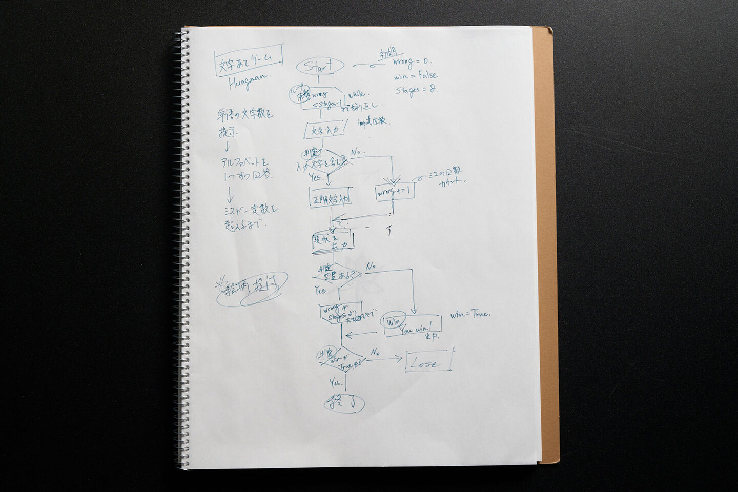 Sketching and Illustrations