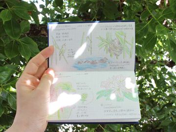 Biwako Field Notebook,Navy, small image number 7