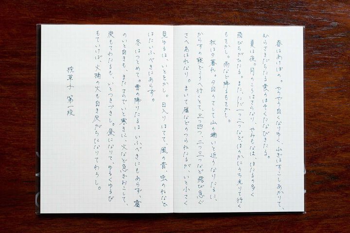 WP Finewriter Limited Edition 2025 - Anodized Aluminum Moss Marble,, medium image number 6