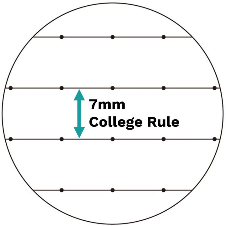 Campus Spiral Notebook 10-1/2" x 8" 7mm College Rule 80 Sheets Pack of 3 Colors,, medium