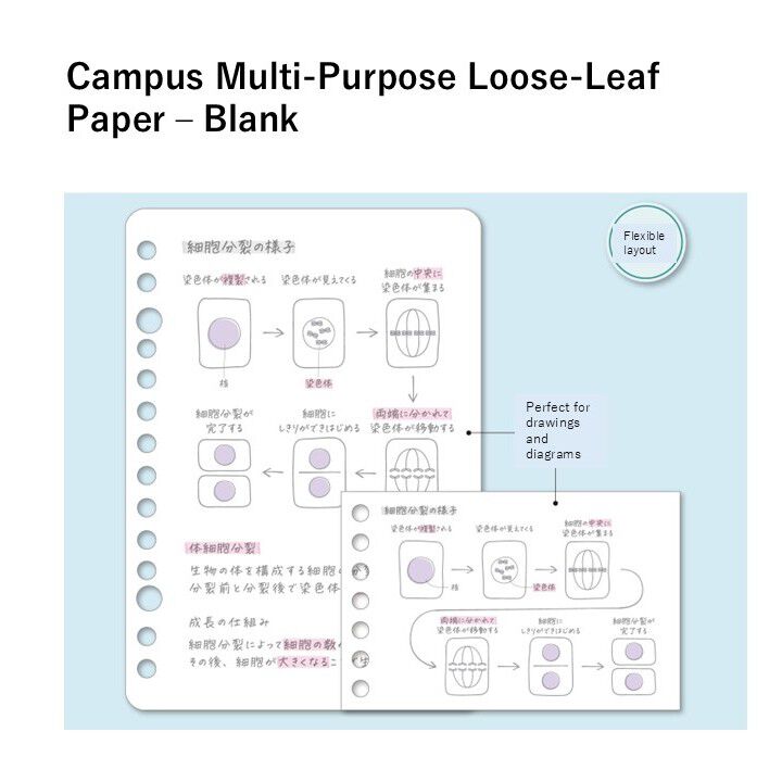 Campus Loose Leaf <Smooth> A6 Plain Rule 50 Sheets,, medium image number 3