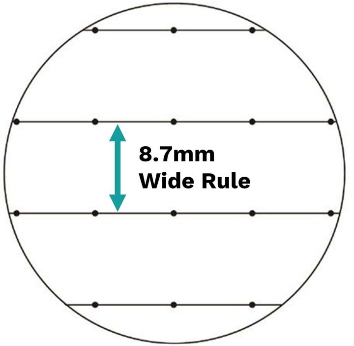 Campus Spiral Notebook 10-1/2" x 8" 8.7mm Wide Rule 80 Sheets Pack of 3 Colors,, medium